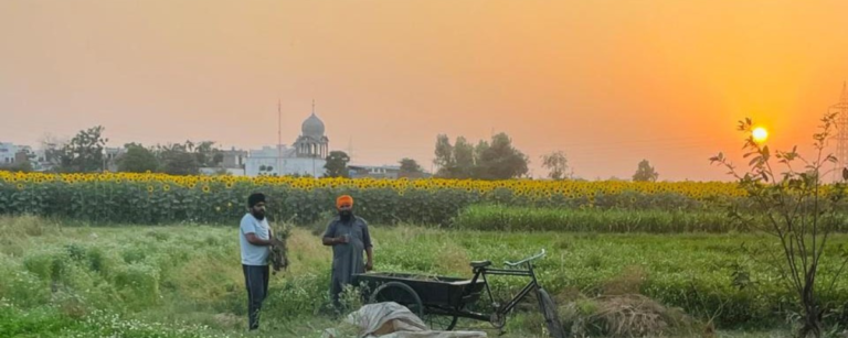 Farmers in a village in Patiala of Punjab. Pic Credit: Neelam Sharma for AI FrontPage