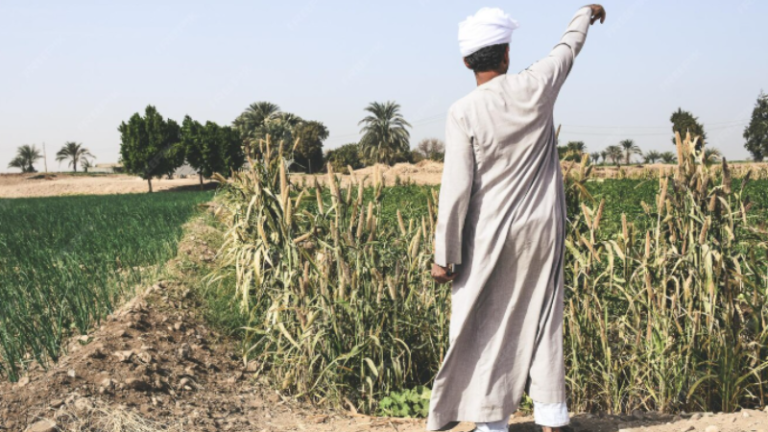 Agriculture in UAE