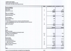 Balance sheet of Puch AI
