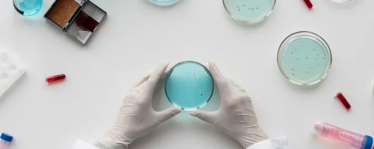 Gloved hands holding a petri dish with bacterial colonies on a laboratory bench, viewed from above