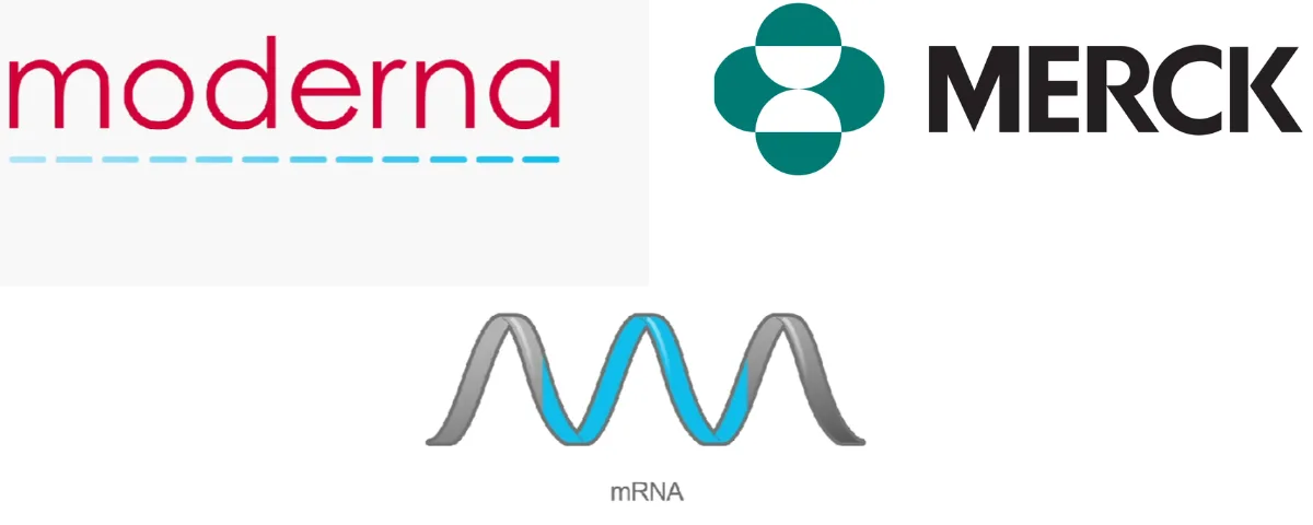 Moderna and Merck logos alongside an illustration of an mRNA strand, representing their jointly developed personalised cancer vaccine